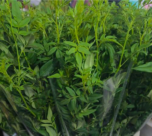 Nine-star leaf (ns)
